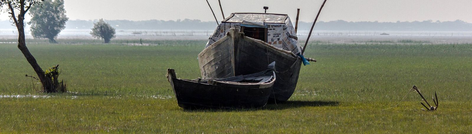 Fishing boats